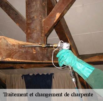 Traitement et changement de charpente  bragassargues-30260 JF Couverure