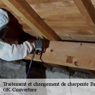 Traitement et changement de charpente  bragassargues-30260 JF Couverure