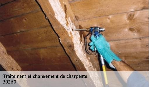 Traitement et changement de charpente  30260