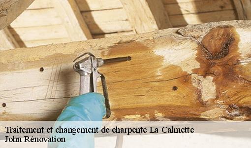 Traitement et changement de charpente  la-calmette-30190 John Rénovation