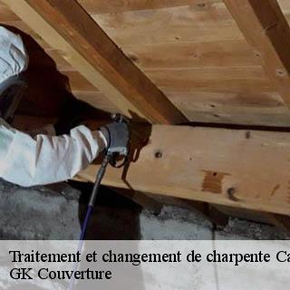 Traitement et changement de charpente  carnas-30260 JF Couverure