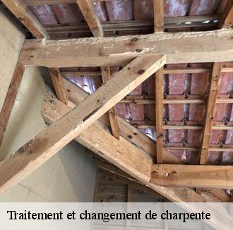 Traitement et changement de charpente  logrian-florian-30610 JF Couverure