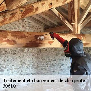 Traitement et changement de charpente  logrian-florian-30610 JF Couverure