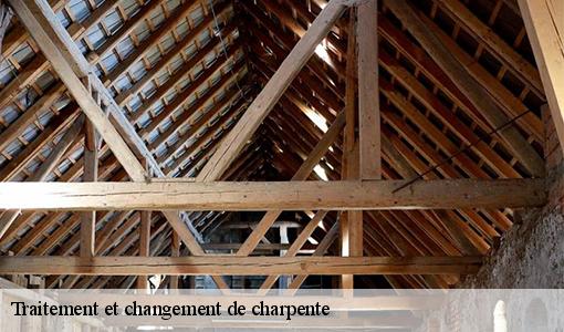 Traitement et changement de charpente