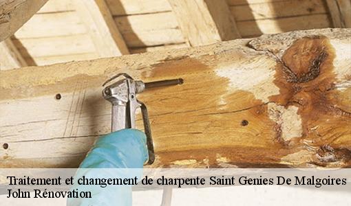 Traitement et changement de charpente  saint-genies-de-malgoires-30190 John Rénovation