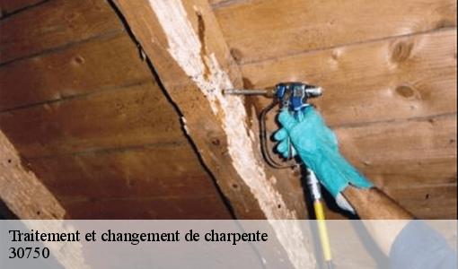 Traitement et changement de charpente  30750