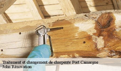 Traitement et changement de charpente  port-camargue-30240 John Rénovation