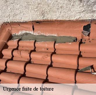 Urgence fuite de toiture  aigaliers-30700 JF Couverure