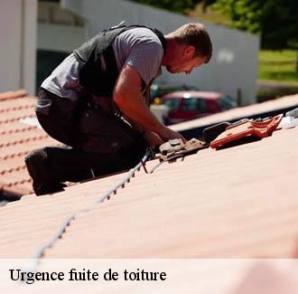 Urgence fuite de toiture  les-angles-30133 JF Couverure