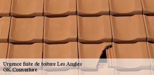 Urgence fuite de toiture  les-angles-30133 JF Couverure