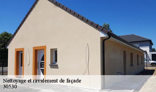 Nettoyage et ravalement de façade  30530