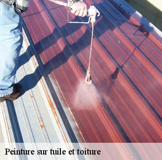 Peinture sur tuile et toiture  aigaliers-30700 JF Couverure