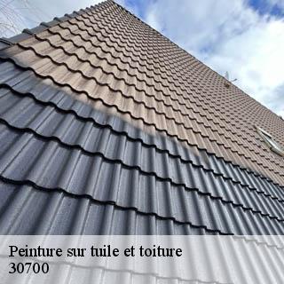 Peinture sur tuile et toiture  aigaliers-30700 JF Couverure