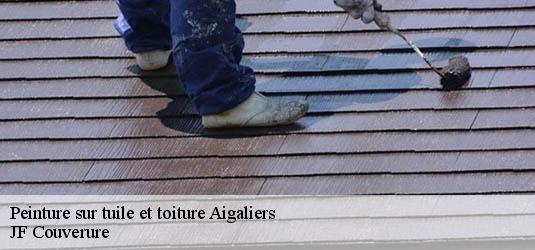 Peinture sur tuile et toiture  aigaliers-30700 JF Couverure