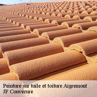 Peinture sur tuile et toiture  aigremont-30350 JF Couverure