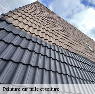 Peinture sur tuile et toiture  alzon-30770 JF Couverure