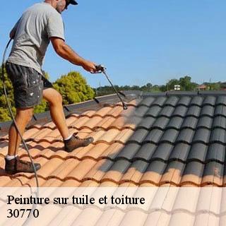 Peinture sur tuile et toiture  alzon-30770 JF Couverure