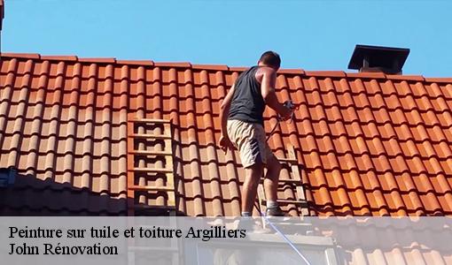 Peinture sur tuile et toiture  argilliers-30210 John Rénovation