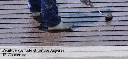 Peinture sur tuile et toiture  asperes-30250 JF Couverure