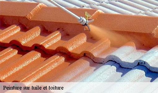 Peinture sur tuile et toiture