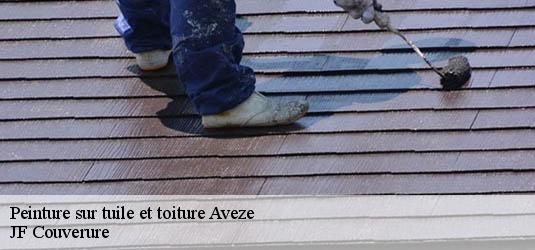 Peinture sur tuile et toiture  aveze-30120 JF Couverure