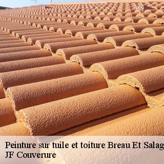 Peinture sur tuile et toiture  breau-et-salagosse-30120 JF Couverure