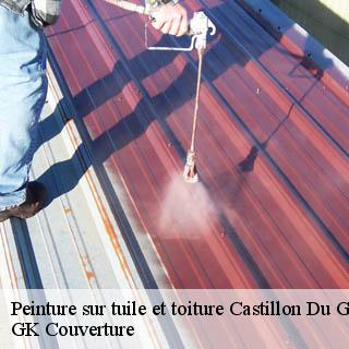 Peinture sur tuile et toiture  castillon-du-gard-30210 JF Couverure