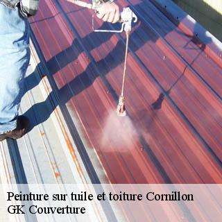 Peinture sur tuile et toiture  cornillon-30630 JF Couverure