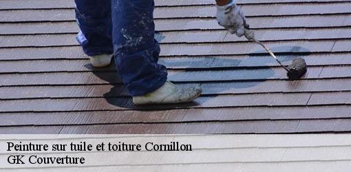 Peinture sur tuile et toiture  cornillon-30630 JF Couverure