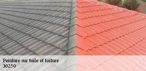 Peinture sur tuile et toiture  junas-30250 JF Couverure