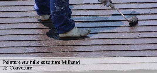 Peinture sur tuile et toiture  milhaud-30540 JF Couverure