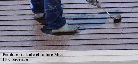 Peinture sur tuile et toiture  mus-30121 JF Couverure