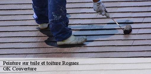 Peinture sur tuile et toiture  rogues-30120 JF Couverure