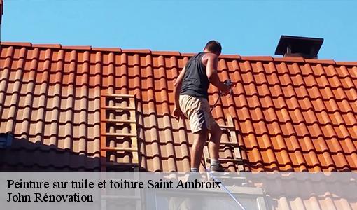 Peinture sur tuile et toiture  saint-ambroix-30500 John Rénovation