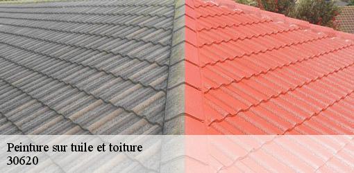 Peinture sur tuile et toiture  uchaud-30620 JF Couverure