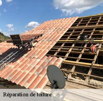 Réparation de toiture  alzon-30770 JF Couverure