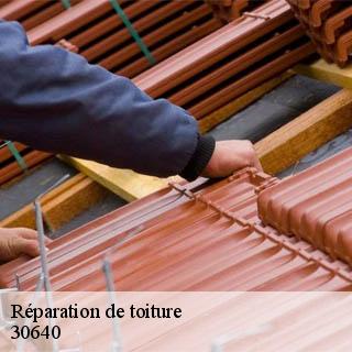 Réparation de toiture  beauvoisin-30640 JF Couverure