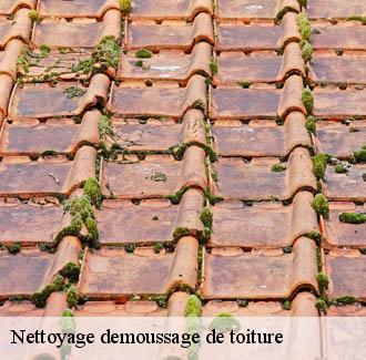 Nettoyage demoussage de toiture  aigaliers-30700 JF Couverure