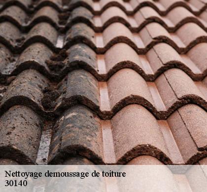 Nettoyage demoussage de toiture  anduze-30140 JF Couverure