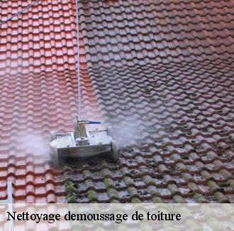 Nettoyage demoussage de toiture  anduze-30140 JF Couverure