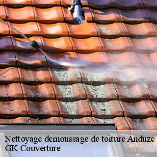 Nettoyage demoussage de toiture  anduze-30140 JF Couverure