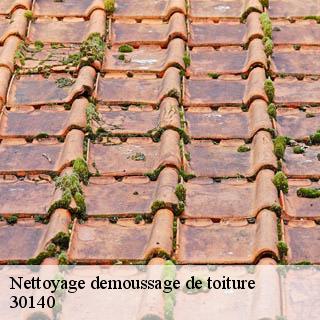 Nettoyage demoussage de toiture  anduze-30140 JF Couverure