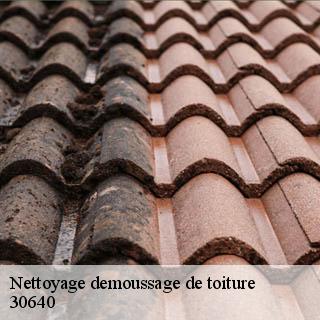 Nettoyage demoussage de toiture  beauvoisin-30640 JF Couverure