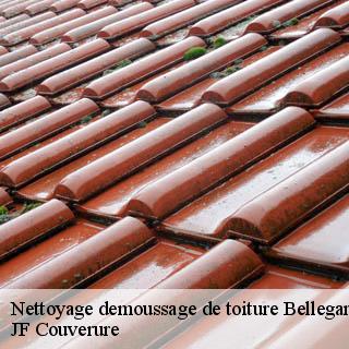 Nettoyage demoussage de toiture  bellegarde-30127 JF Couverure