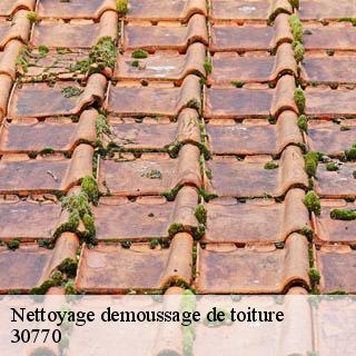 Nettoyage demoussage de toiture  blandas-30770 JF Couverure