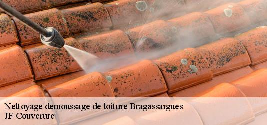 Nettoyage demoussage de toiture  bragassargues-30260 JF Couverure