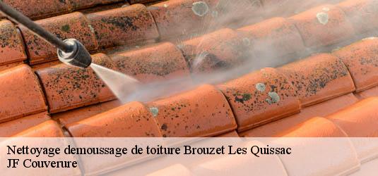 Nettoyage demoussage de toiture  brouzet-les-quissac-30260 JF Couverure