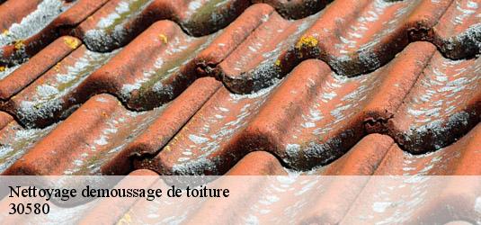 Nettoyage demoussage de toiture  brouzet-les-ales-30580 JF Couverure