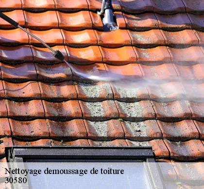 Nettoyage demoussage de toiture  la-bruguiere-30580 JF Couverure