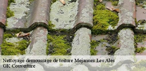 Nettoyage demoussage de toiture  mejannes-les-ales-30340 JF Couverure